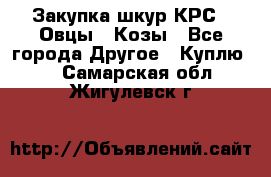 Закупка шкур КРС , Овцы , Козы - Все города Другое » Куплю   . Самарская обл.,Жигулевск г.